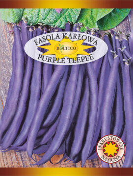 Fasola karłowa Purple Teepee