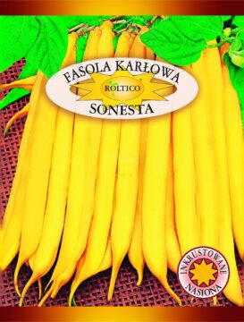 Fasola karłowa Sonesta