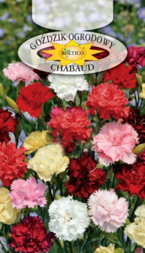 Goździk szabo - Mieszanka