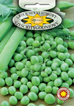 Groch siewny łuskowy Sześciotygodniowy