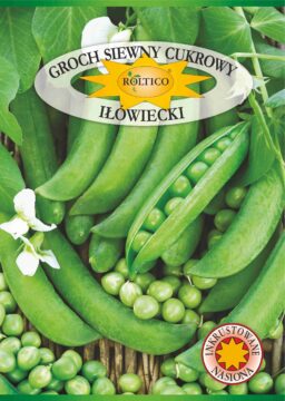 Groch siewny cukrowy Iłówiecki