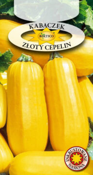 Dynia Zw. Kabaczek Złoty Cepelin