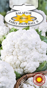 Kalafior Early Snowball X
