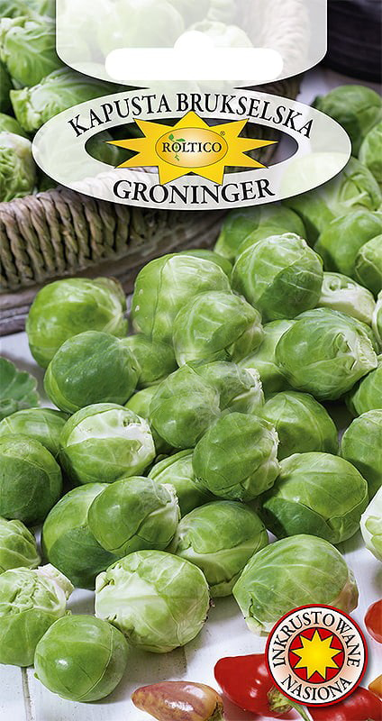 Kapusta brukselska Groninger