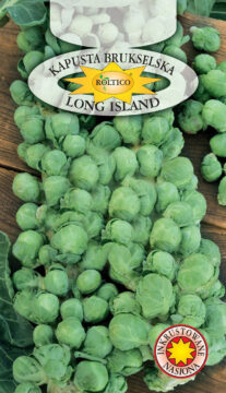 Kapusta brukselska Long Island