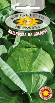 Kapusta głowiasta biała Brunświcka