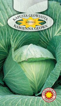 Kapusta głowiasta biała Kamienna Głowa