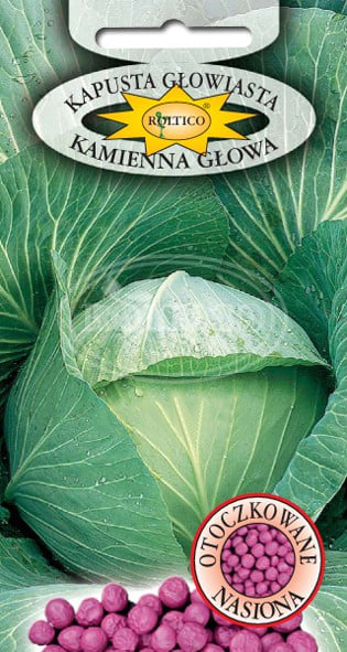 Kapusta głowiasta Kamienna Głowa - obrazek 2