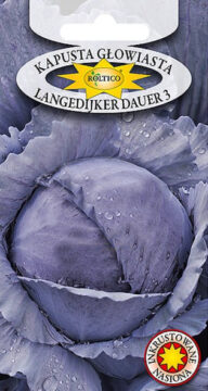 Kapusta głowiasta czerwona Langedijker Dauer 3