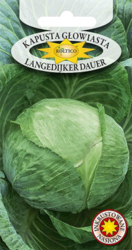 Kapusta głowiasta biała Langedijker Dauer