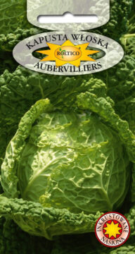 Kapusta włoska  Aubervilliers