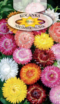 Kocanka Nieśmiertelnik - Mieszanka