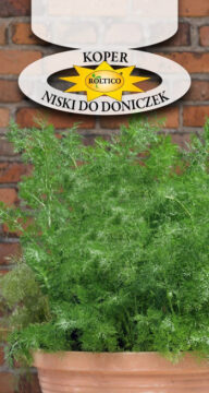 Koper ogrodowy - Niski do doniczek