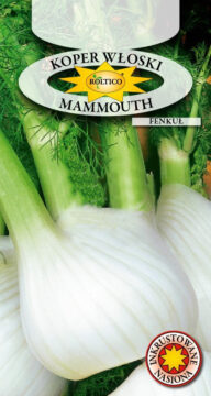 Koper włoski, Fenkuł Mammouth