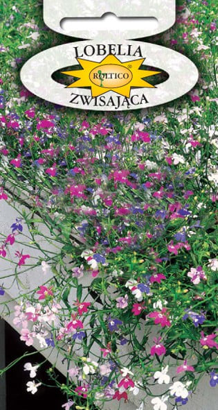 Lobelia zwisająca - Mieszanka