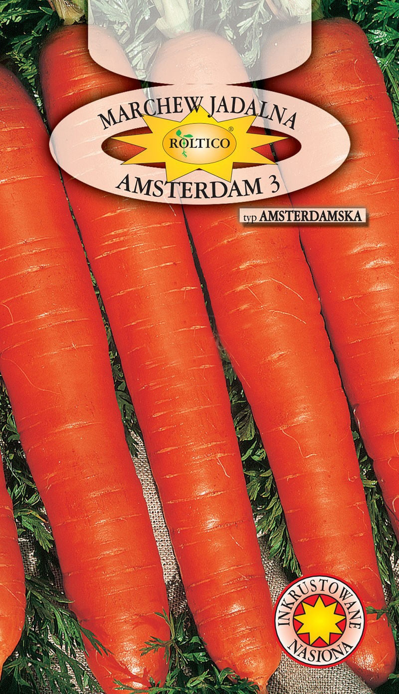 Marchew Amsterdam 3 - Amsterdamska