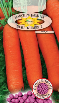 Marchew Berlikumer 2 - Berjo