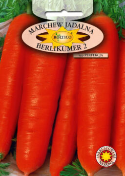 Marchew Berlikumer 2 - Perfekcja