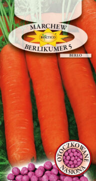 Marchew Berlikumer 5 - Berło