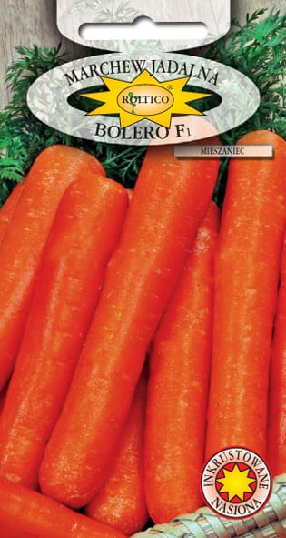 Marchew Bolero - mieszaniec F1 - obrazek 2