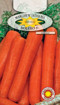 Marchew Bolero - mieszaniec F1