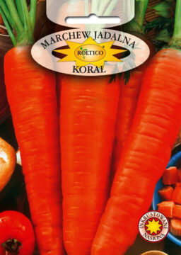Marchew Koral