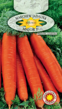 Marchew Major - mieszaniec F1