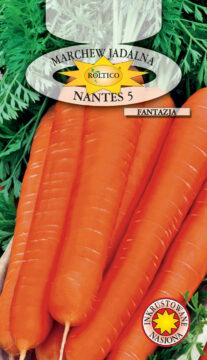 Marchew Nantes 5 - Fantazja