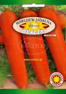 Marchew Sukces - (typ Dolanka)