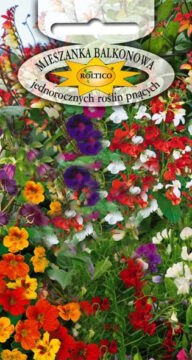 Mieszanka balkonowa jednorocznych roślin pnacych