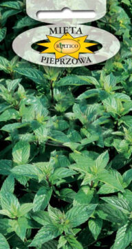 Mięta pieprzowa