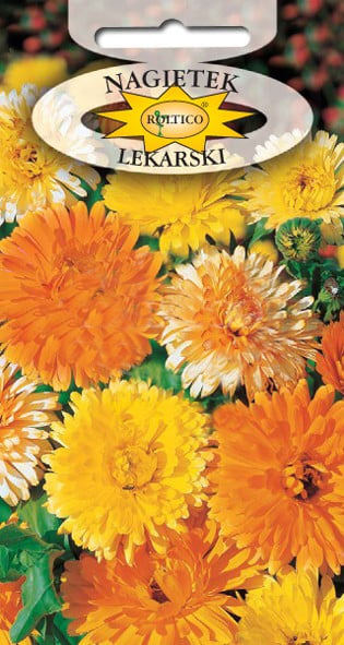 Nagietek lekarski - Mieszanka - obrazek 2