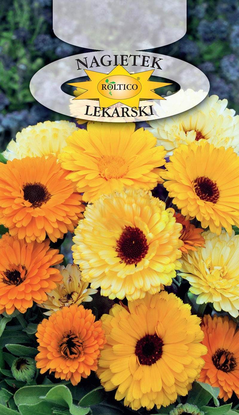 Nagietek lekarski - Mieszanka