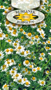 Rumianek Pospolity