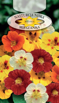 Nasturcja - Niska - mieszanka