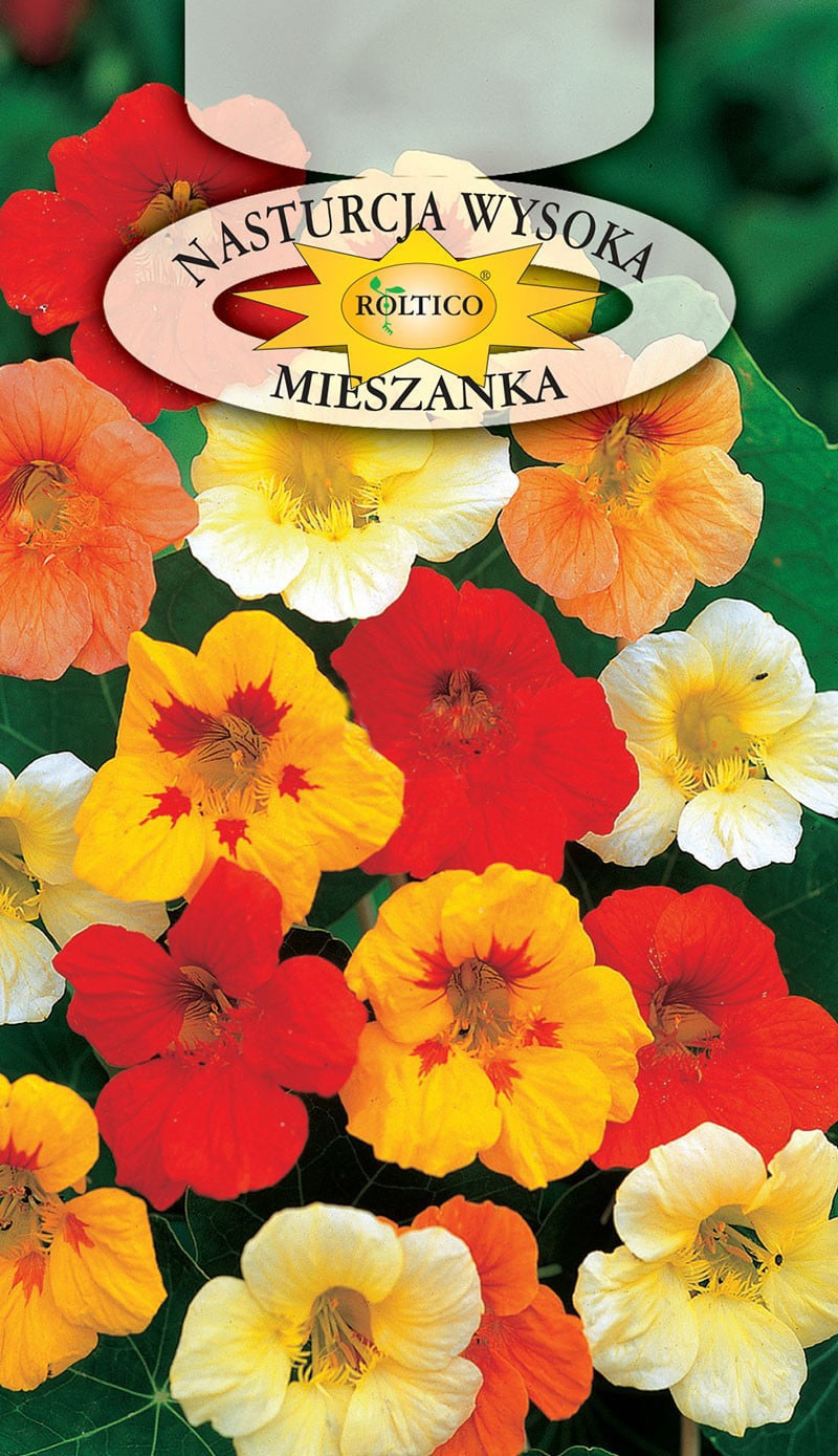 Nasturcja - Wysoka - mieszanka