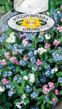 Niezapominajka alpejska - Mieszanka