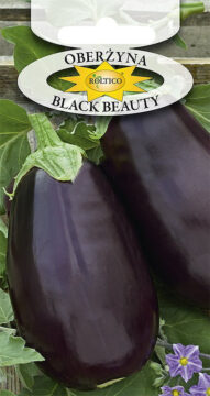 Oberżyna Black Beauty