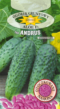 Ogórek gruntowy Aloe - mieszaniec F1 (typ Andrus)