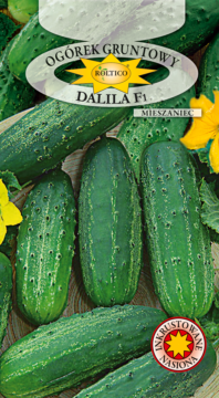 Ogórek gruntowy Dalila - mieszaniec F1