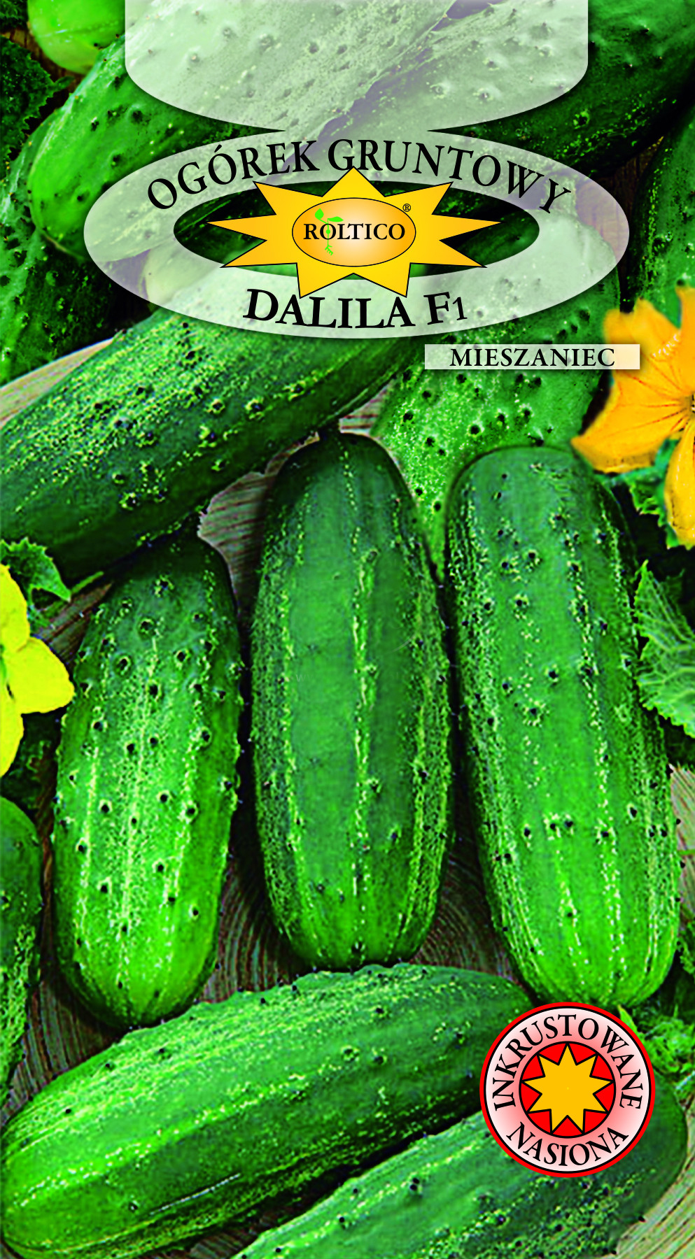 Ogórek gruntowy Dalila - mieszaniec F1 - obrazek 2