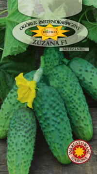 Ogórek partenokarpiczny Zuzana – mieszaniec F1