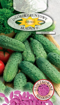 Ogórek gruntowy Aladyn - mieszaniec F1