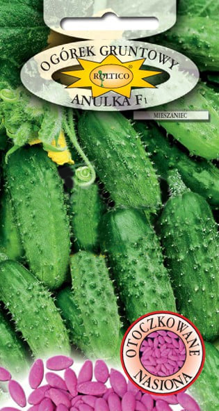 Ogórek gruntowy Anulka - mieszaniec F1 - obrazek 2