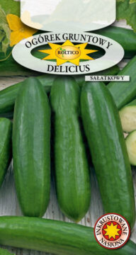 Ogórek gruntowy sałatkowy Delicius