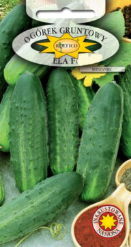 Ogórek gruntowy Ela - mieszaniec F1