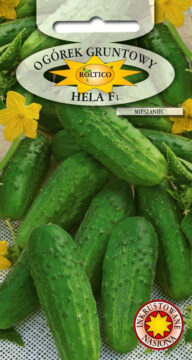 Ogórek gruntowy Hela - mieszaniec F1