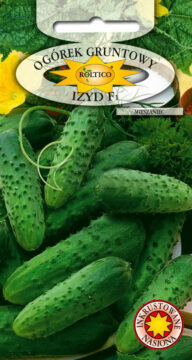 Ogórek gruntowy Izyd - mieszaniec F1