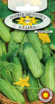 Ogórek gruntowy Julian - mieszaniec F1