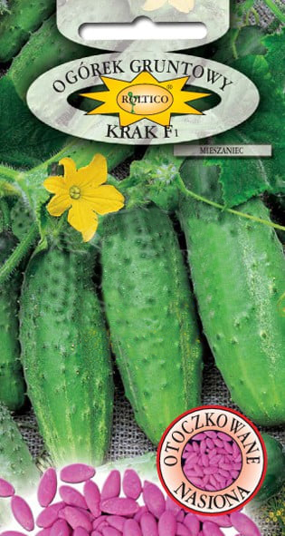 Ogórek gruntowy Krak - mieszaniec F1 - obrazek 2